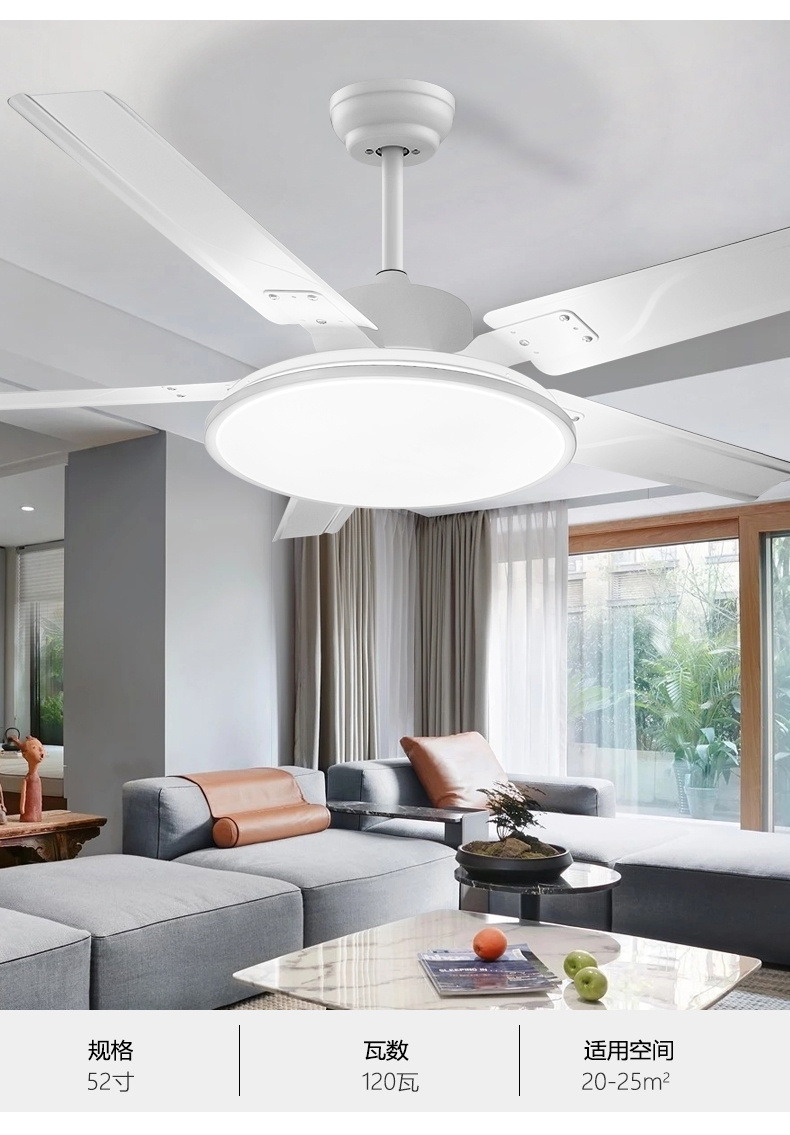 c0804ef4-2553-4095-be1e-4f591c016d9a.jpe