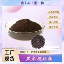 黑米花青素25% 黑米提取物 品质保证 100g/袋 现货另有5%