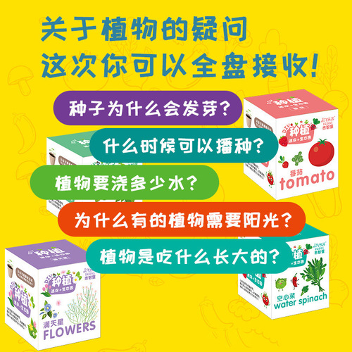 Kindergarten children's science and education homework DIY hand-planted green plants potted flower seeds gift set blind box