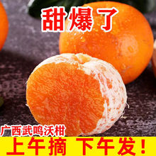 广西武鸣沃柑柑桔橘子甜应季新鲜水果非丑橘10斤独立站批发混批