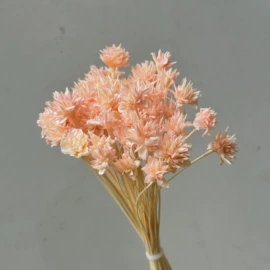 鲜花花艺制品;永生花;干花