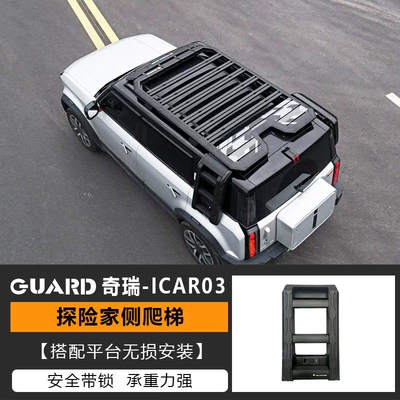Ladder Backpack Side Account | Roof rack - ladder