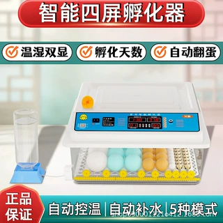 孵蛋器儿童孵化器小型家用小鸡鸭鹅鸽鹌鹑芦丁智能孵化器