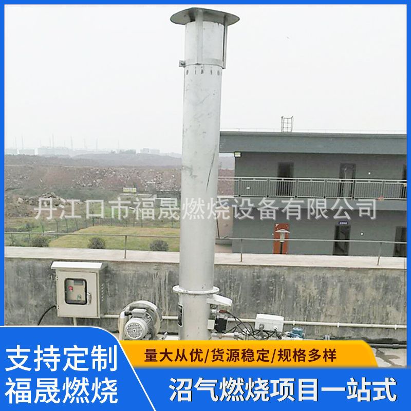 批发5-20立方垃圾填埋场封闭式沼气火炬 沼气火炬燃烧器 放散火炬