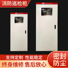 数字智能巡检设备机械应急智能应急数字排污柜电气控制消防巡检柜