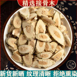 野山接骨木500克续骨木干货包邮真货好货