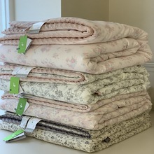 韩国大鹅家秋冬一面全棉双层纱一面安抚豆豆绒双人可水洗保暖被芯