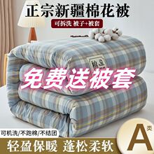 新疆棉花加厚保暖冬被学生宿舍春秋学生被子单人双人四季通用