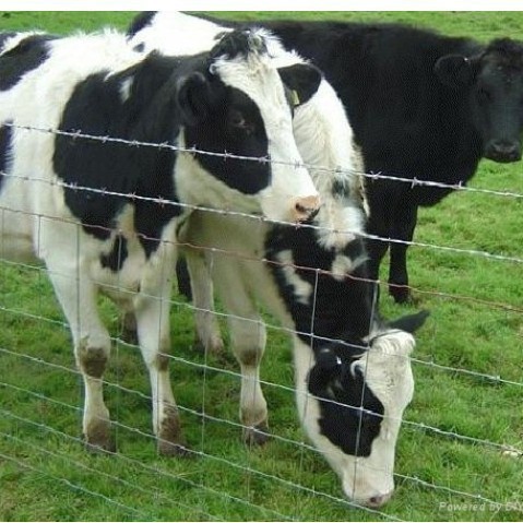 重庆镀锌牛栏网草原护栏网围栏网养殖网牧场圈牛网农场隔离防护网