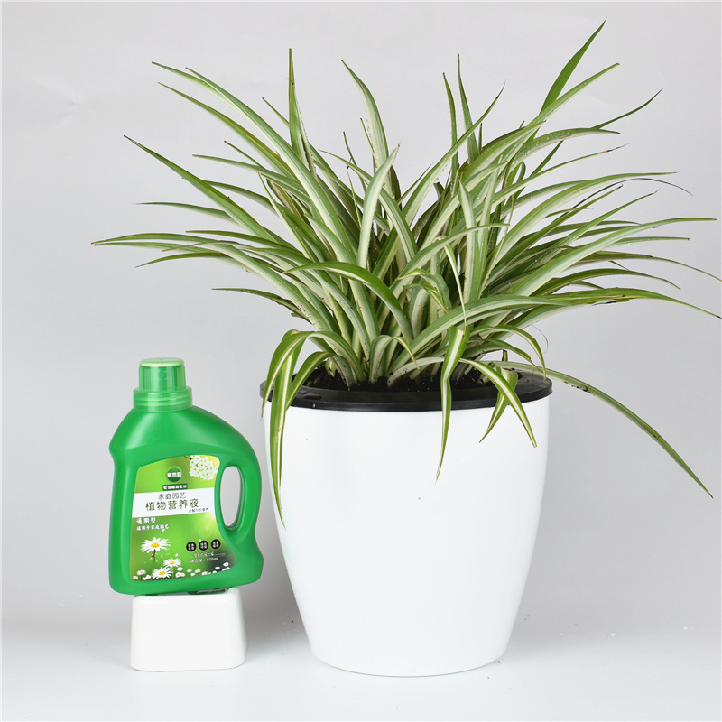 植物用養液、一般花肥料、水耕鉢植え、家庭用花肥料|undefined