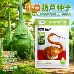 �h���m�䷶���V�Q�׺��J�N�����̈́e��СԺ�ȼܴ����쾰�Ϲ������l