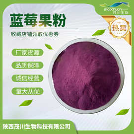 蓝莓果粉 食品级蓝莓粉 固体饮料用 全水溶 厂家货源 现货包邮