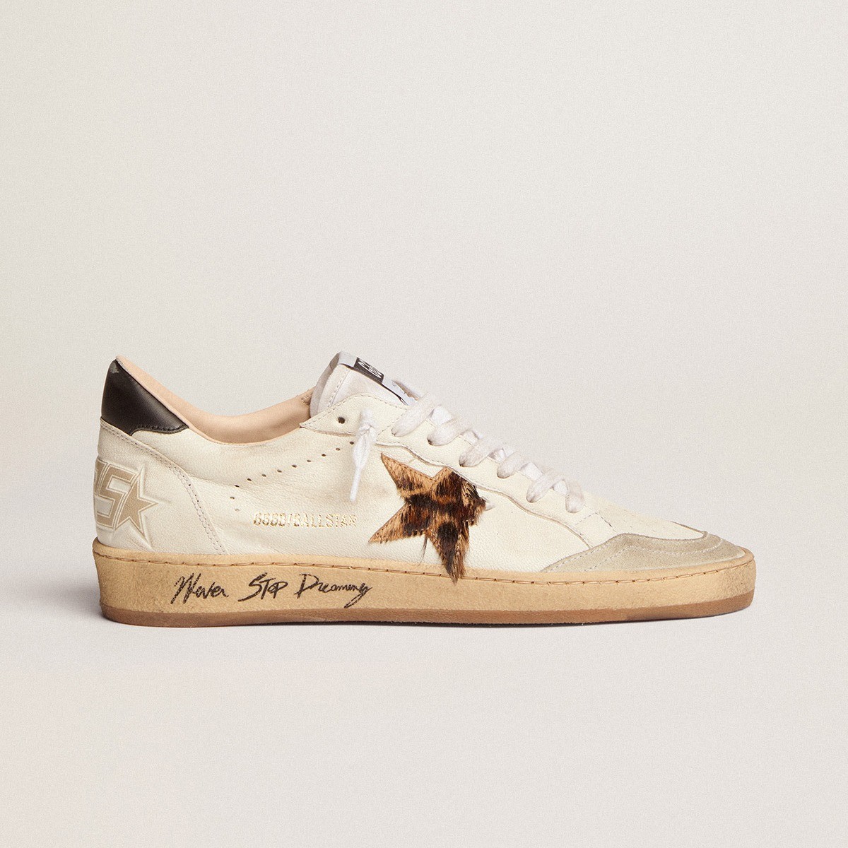 颜色分类图_11_黑尾 豹纹星_副本.jpg