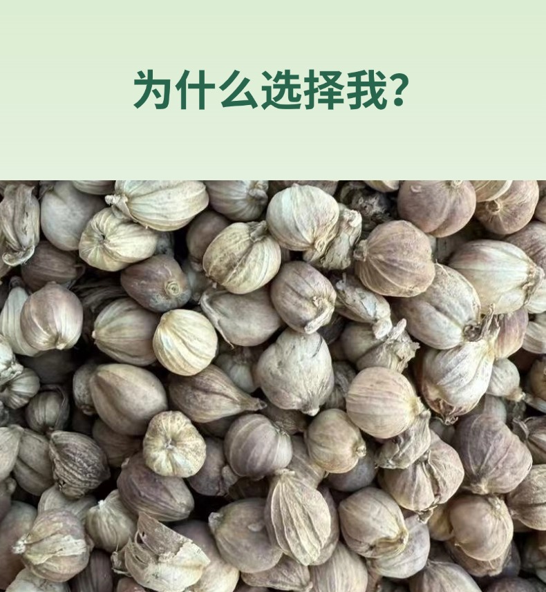 Dried White Cardamom Whole Spice Bai Kou 500g for Hot Pot Broth and Braised Dishes key features