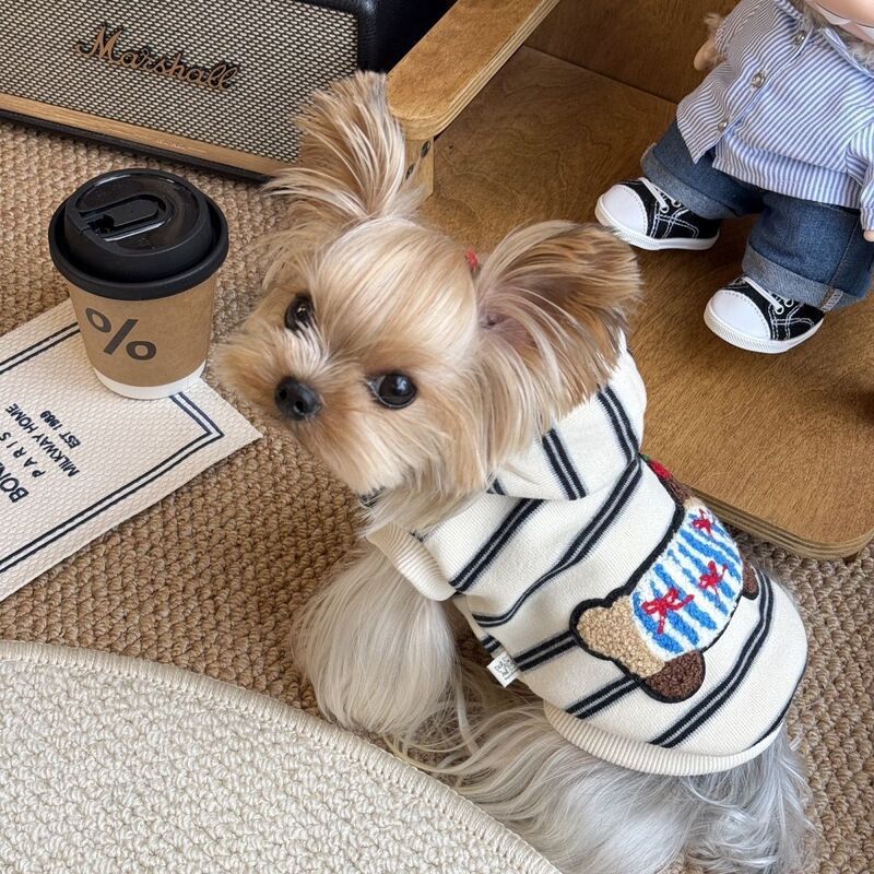 Handsome Pet Cat and Dog Clothes, Thin Style, New Autumn and Winter Models, Maltese, Schnauzer, Teddy Hooded Sweatshirt, Trendy Handsome Pet Cat and Dog Clothes, Thin Style, New Autumn and Winter Models, Maltese, Schnauzer, Teddy Hooded Sweatshirt, Trendy