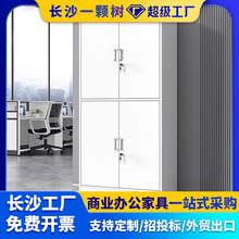 通双节铁皮文件柜办公室资料档案书柜收纳柜子储物柜带锁文件柜