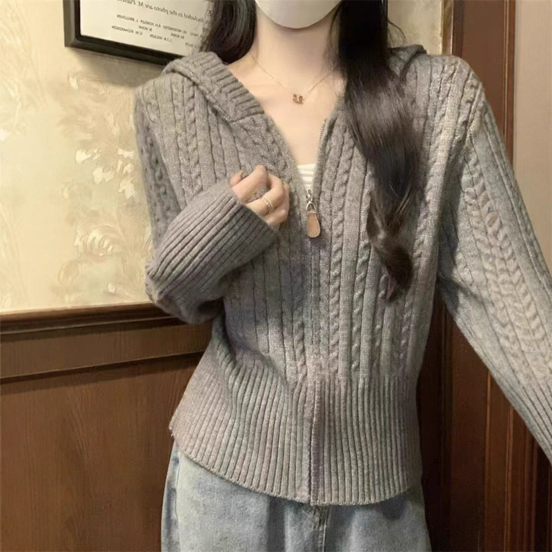 秋冬新款韩系麻花拉链连帽针织开衫毛衣女温柔风显瘦针织开衫上衣|undefined