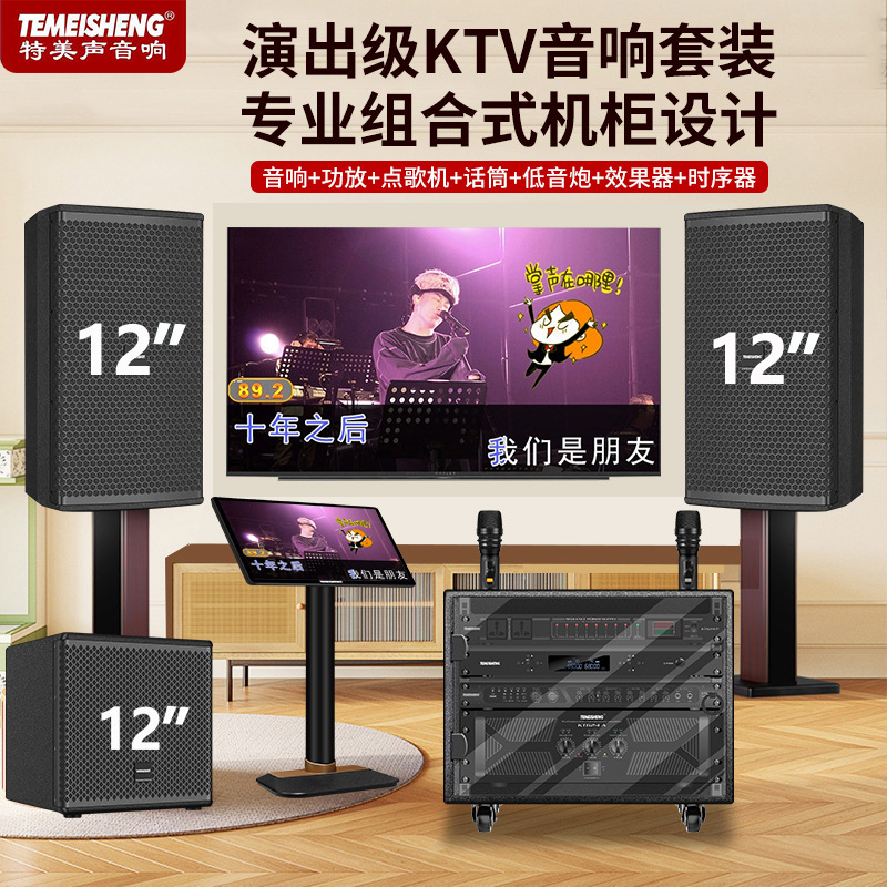 Temeisheng Home Theater Ktv Audio Set for Home Singing Karaoke Machine with Heavy Bass K-Song Speakers