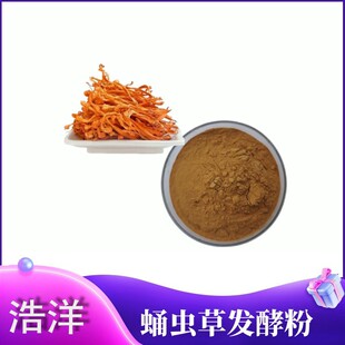 �x�ݰl�ͷ� ����0.2 ��¶��7% �x���� ���� �ӌ��w ���z�w ������
