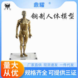 鼎耀纯铜针灸铜人中医用经络标准人体穴位模型黄铜男人体模型