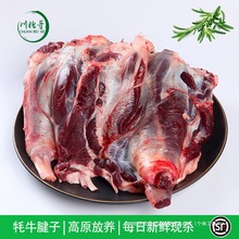 ���ښ�ţ����4�� ����������F����ԭ���r���ţ����ţ��ţչ