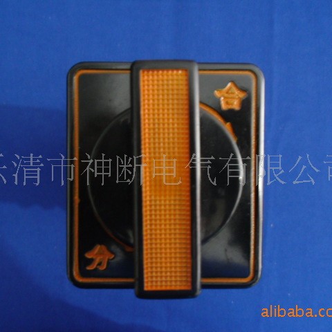 温州长江电器开关厂 LW2D-Z1a46a20/F8 转换开关