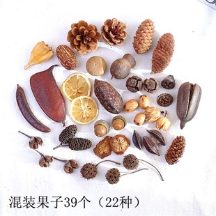 �ɻ��ɹ��M�����b�׃��@DIY�ֹ����ϰ��ɹ�����ɻ��[�����յ���