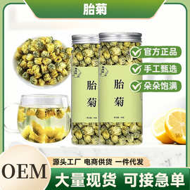 胎菊菊花茶杭白菊特级正宗桐乡胎菊王罐装养生花茶批发工厂清火