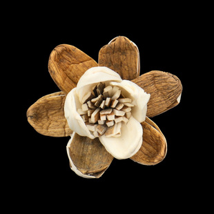 Ready-Made Wholesale | 4cm Lotus Bark Flower, Pastoral Style Home Decoration Flower, Flower Arrangement, Wire Rope Flower