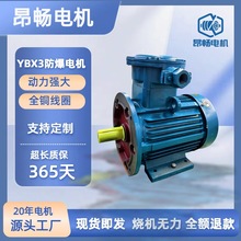 YBX3防爆电机隔爆型三相异步电动机气体用防爆电机调速变频电动机
