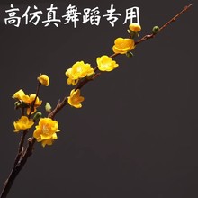 �������赸��֦������Ӱ÷���ٻ��ŵ����һ���֦زز�ݳ�����