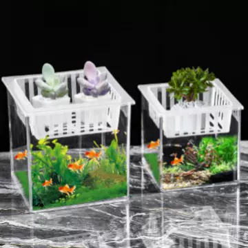 桌面迷你摆件水培植物瓶多肉种植花瓶装饰生态瓶客厅金鱼缸斗鱼缸