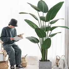 �Gֲ��ֲ�����˽��p���b��҃����Է��������B�͏d�[����