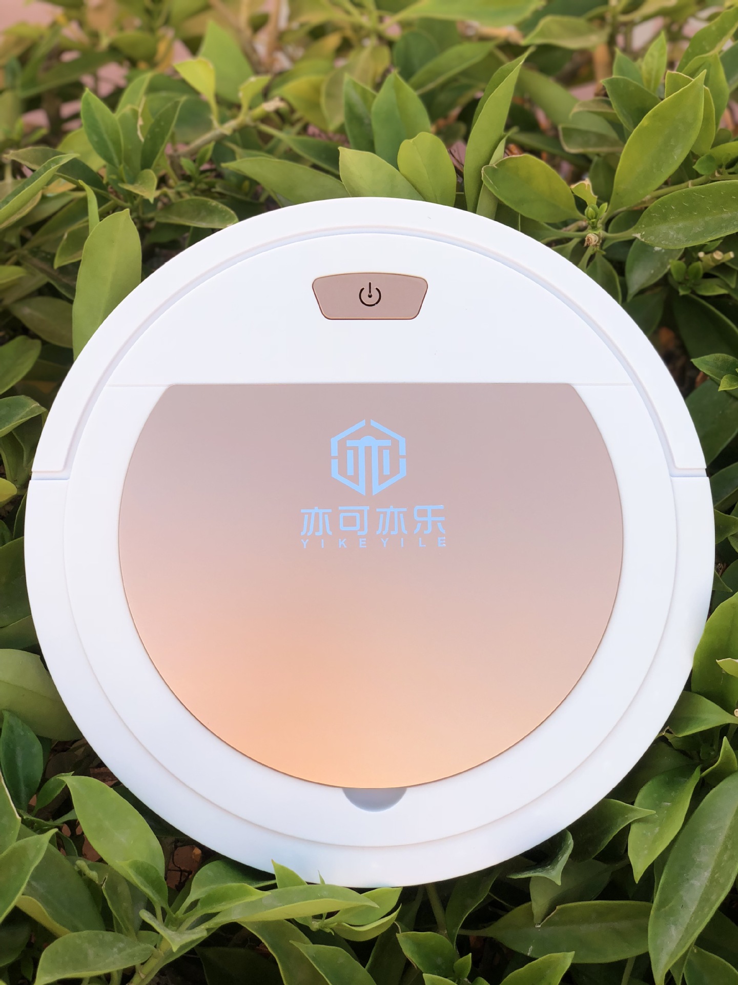 亦可亦乐实拍图3