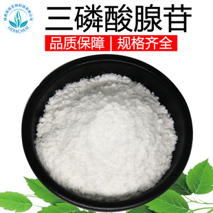 ���������� 98% ATP �F؛���] Ҏ���Rȫ ���������ն��c