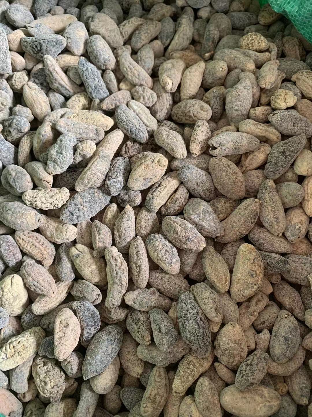 200頭烏園參烏圓球參淡幹細皮 免刷皮海參批發酒店水發食材參500g