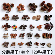 Ȼɹ׃@hϰĔzֹdiy50N250