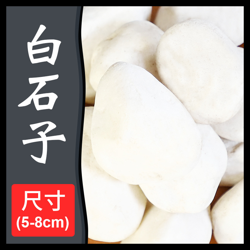 흰 돌 5-8cm5kg