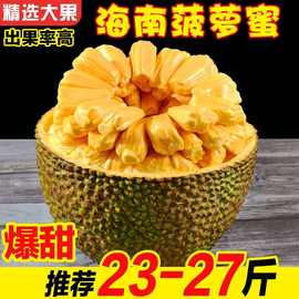 三亚黄肉菠萝蜜海南当季热带新鲜水果一整个干苞木菠萝整箱特产