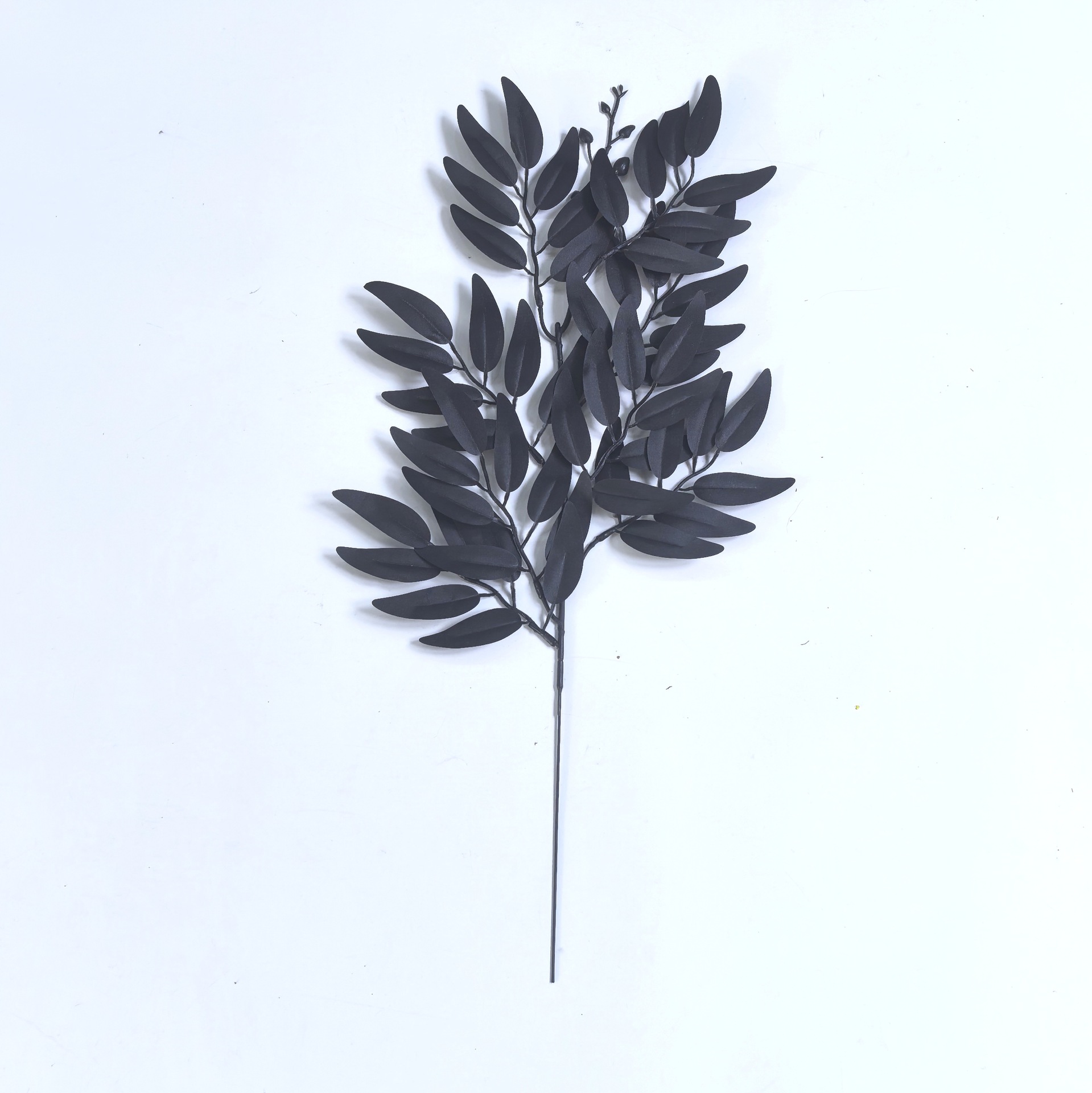 단일 버드나무 잎--검정색