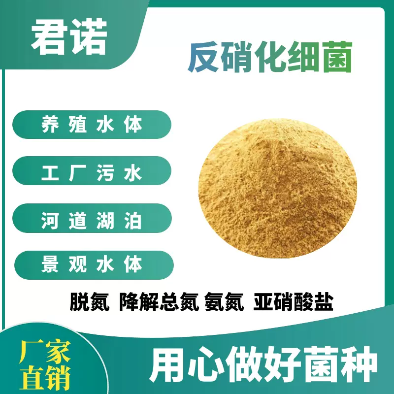 反硝化细菌降解总氮氨氮脱氮驯化污泥厌氧菌水产养殖污水处理河道