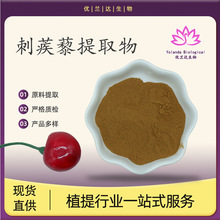 刺蒺藜提取物10:1 优兰达供应 刺蒺藜皂甙 量大现货