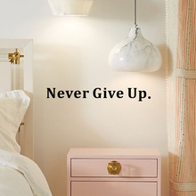 Ӣnever give up N͏dҷgbNճlN