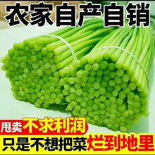 2025���r��̦���ϴ��ۼtñ��޷�����r���߲˶̼���̦����5�� ����