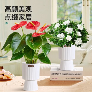 �d�ӻ����ԾGֲ�k���҃��辰�t�ƿ͏d����ֲ���ļ��滨�����\���^