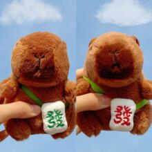 ��Ƥ����ë�q���В��ˮ����ż��؛��Ƥ��������ë�q��ߒ�����l