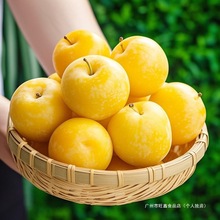 �SƤ����������������Ӯ������rˮ������ڲ��������������