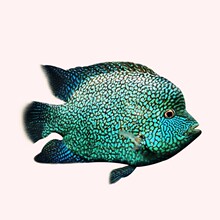 �M���ǵ��ݱ��G�����~�д��͟Ꭷ��ˮ�^�p�~������w�y���؈D�W�^