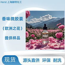 Herst �W��֮�� �������턩 ��ϴ ��ˮ΢�z��