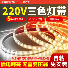 灯带led灯条三色变光家用客厅吊顶超亮V户外防水变色软灯带条